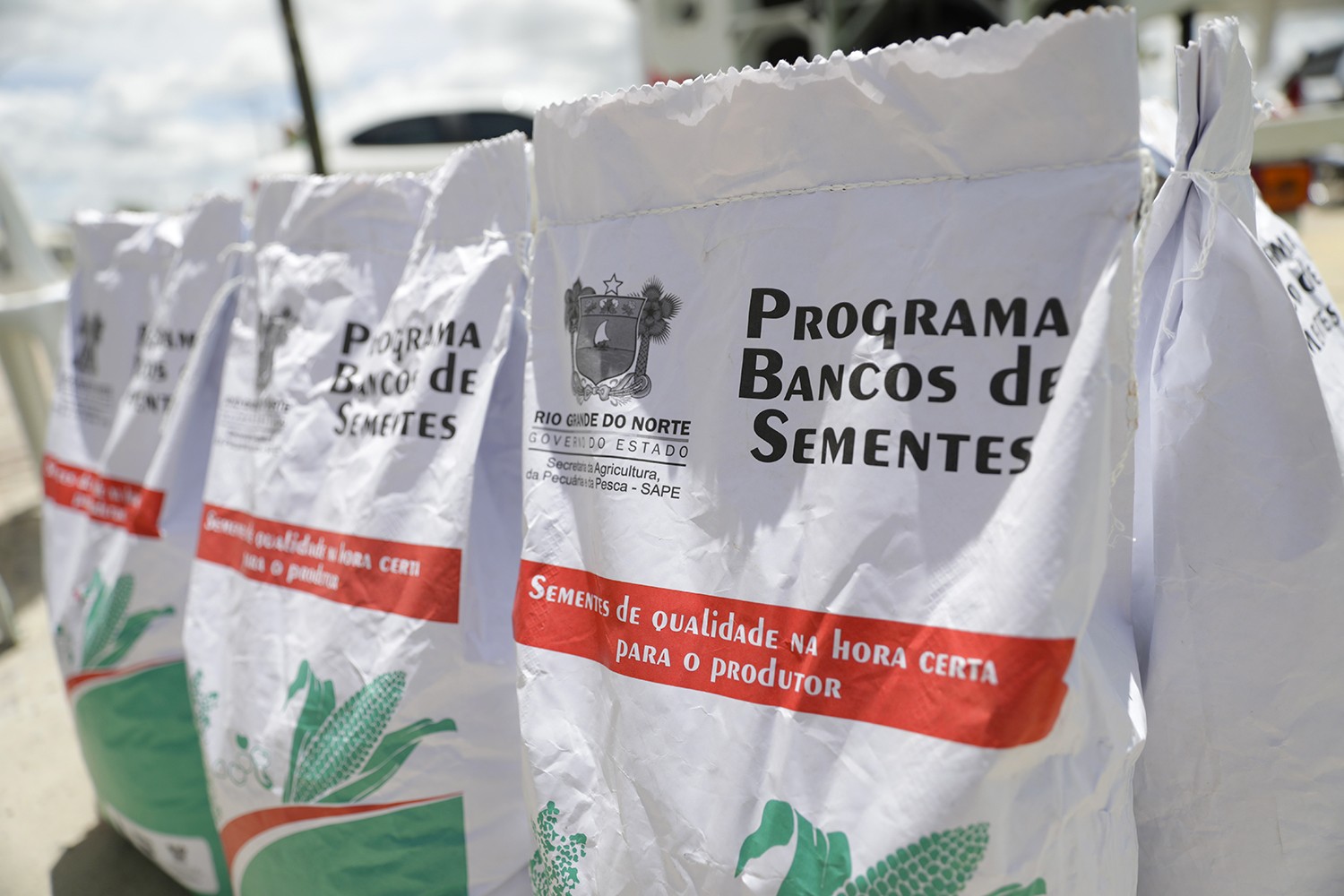 RN inicia distribuição de 650 toneladas de sementes para agricultores familiares do RN