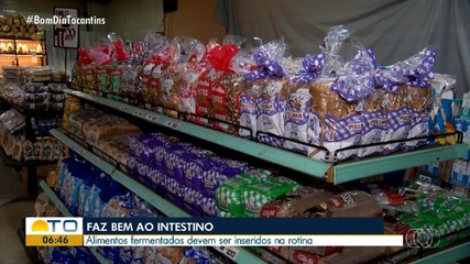 Alimentos fermentados fazem bem para o intestino