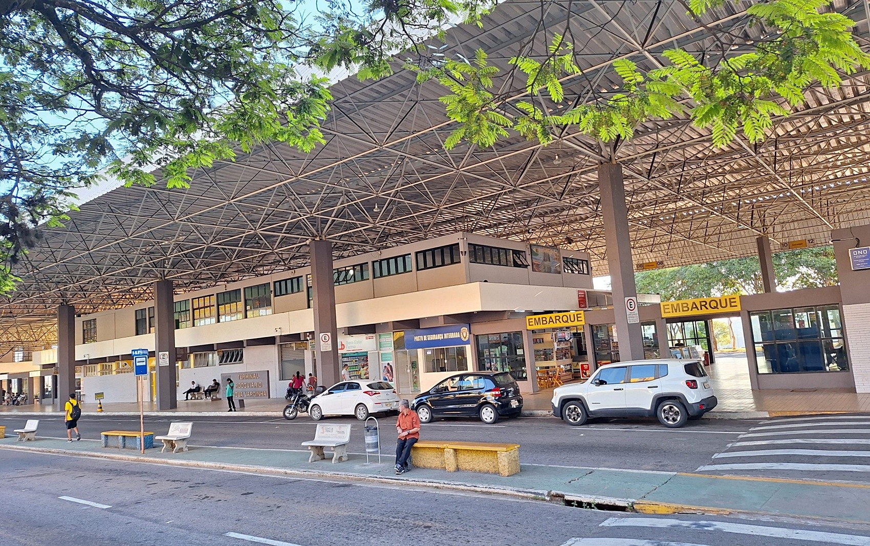 Passageira encontra baratas em poltronas e janelas de ônibus em viagem no Sul de MG: 'Se dormir, é perigoso entrar na boca'