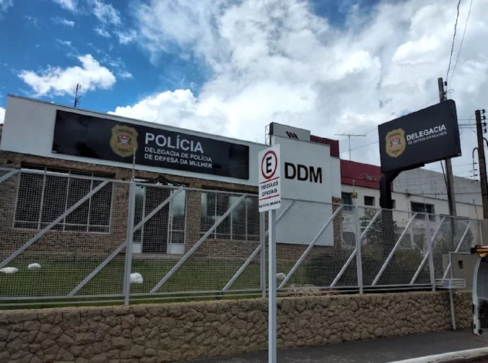 1 de 2
Mulher foi presa em flagrante pela Delegacia de Defesa da Mulher de Botucatu (SP) — Foto: Luciano Guido Piazza/Reprodução
