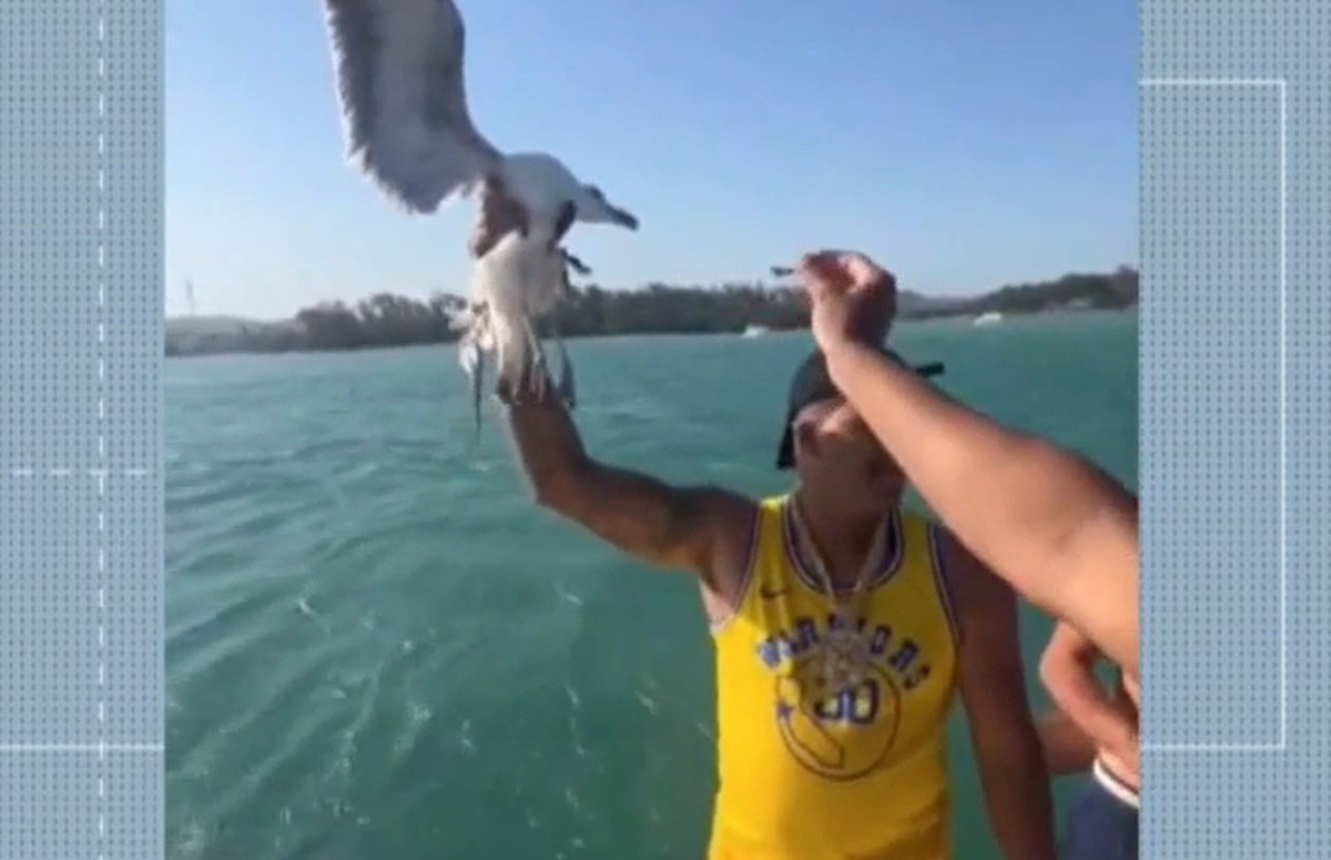 Influenciador é investigado por crime ambiental após agarrar gaivota em passeio de barco em Cabo Frio