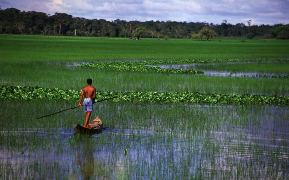 Dois territórios do Amapá são reconhecidos como área quilombola pelo Incra  | G1