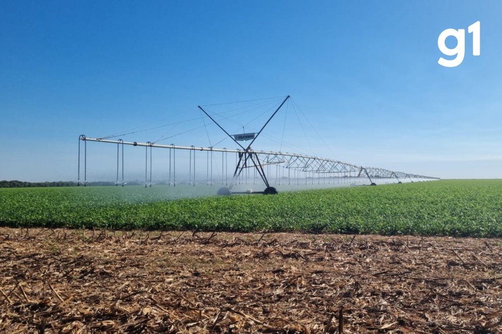 Na inspenção, a fazenda estava com os irrigadores em funcionamento, mas o medidor de energia não estava registrando o consumo, segundo a concessionária. — Foto: Energisa
