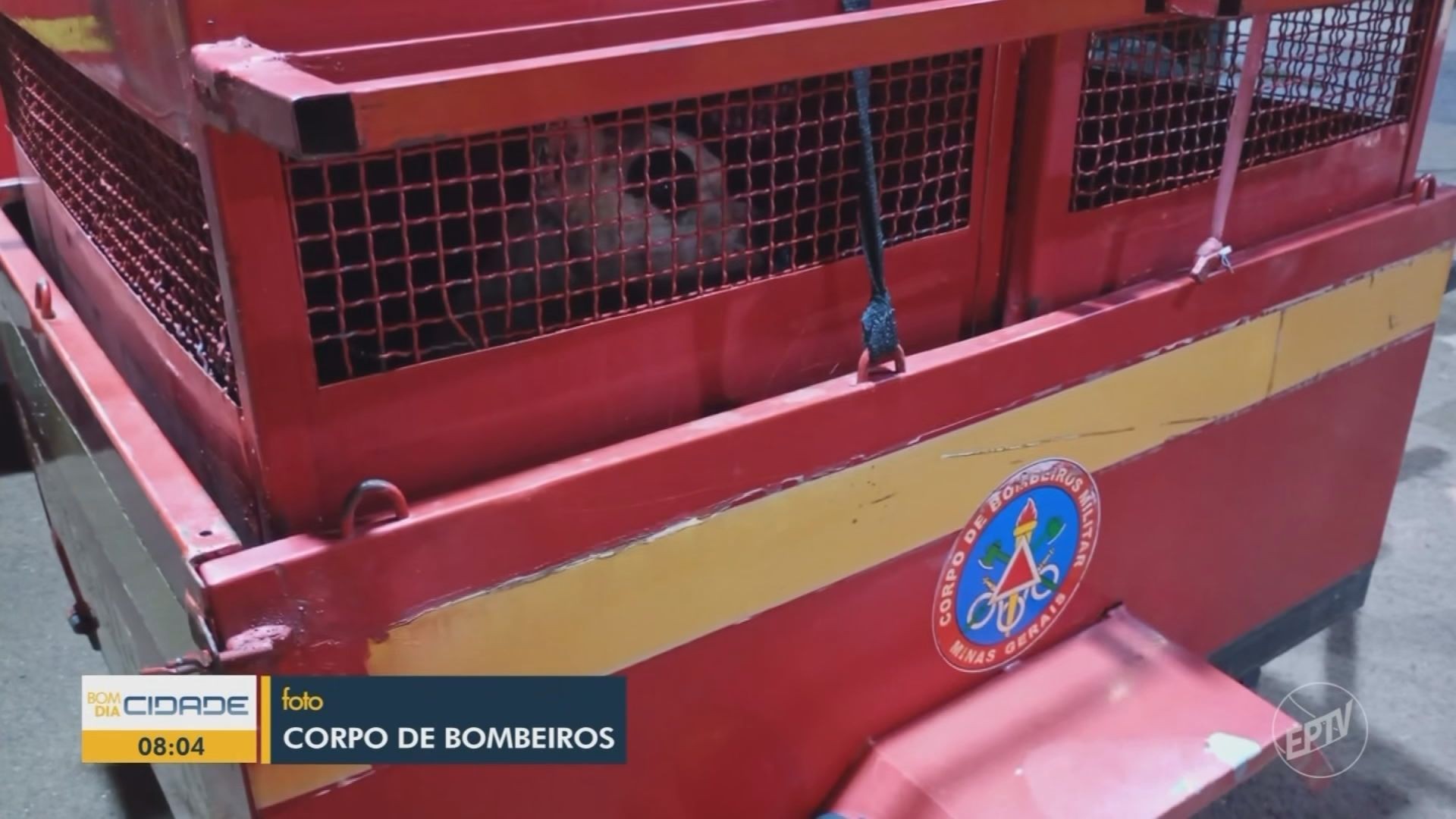 VÍDEOS: Bom Dia Cidade Sul de Minas de quarta-feira, 17 de dezembro de 2025