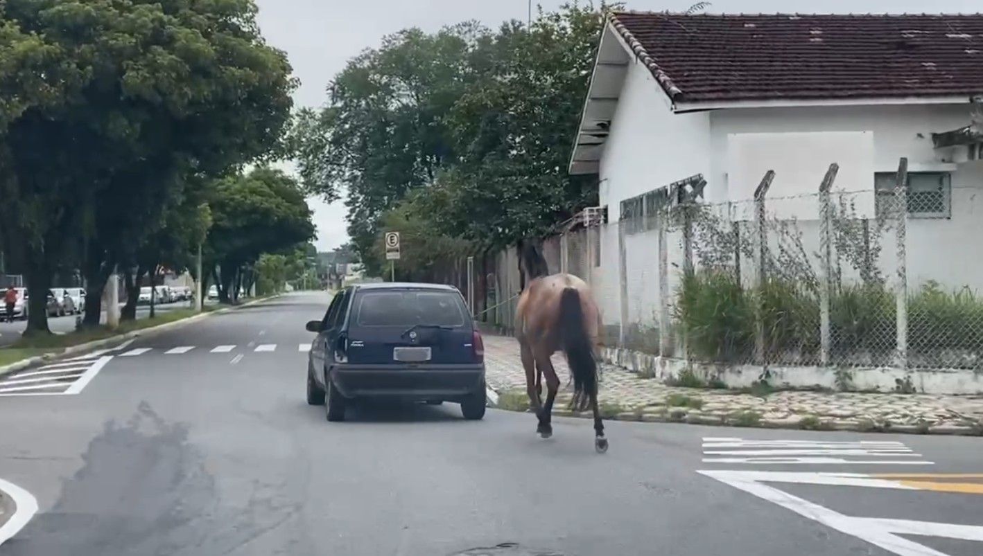 VÍDEO flagra cavalo amarrado em corda sendo puxado por carro, em Caçapava