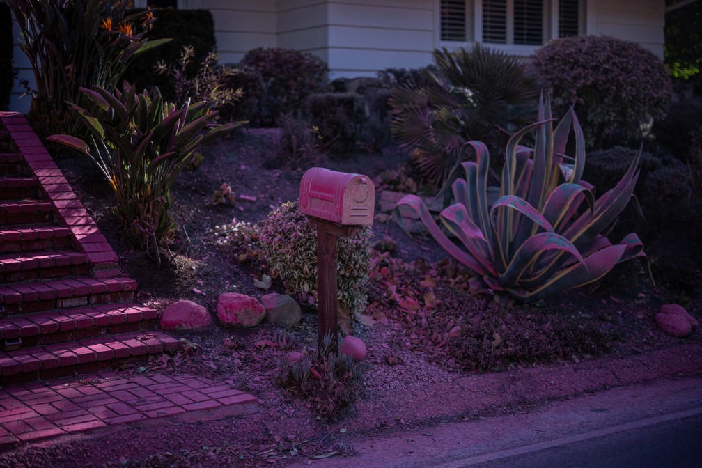 Uma caixa de correio coberta com retardante rosa de fogo é vista em Mandeville Canyon, bairro de Los Angeles atingido por incêndio — Foto: Carlos Barria/Reuters