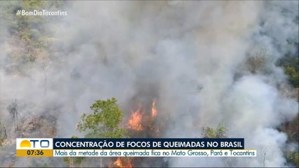 Tocantins está em 3º lugar no ranking nacional de áreas atingidas pelo fogo