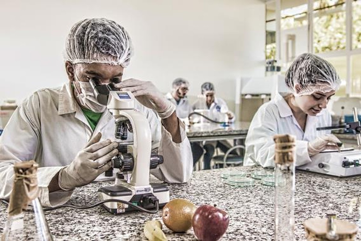 Engenharia de Alimentos é opção de carreira com amplo ramo de atuação ...
