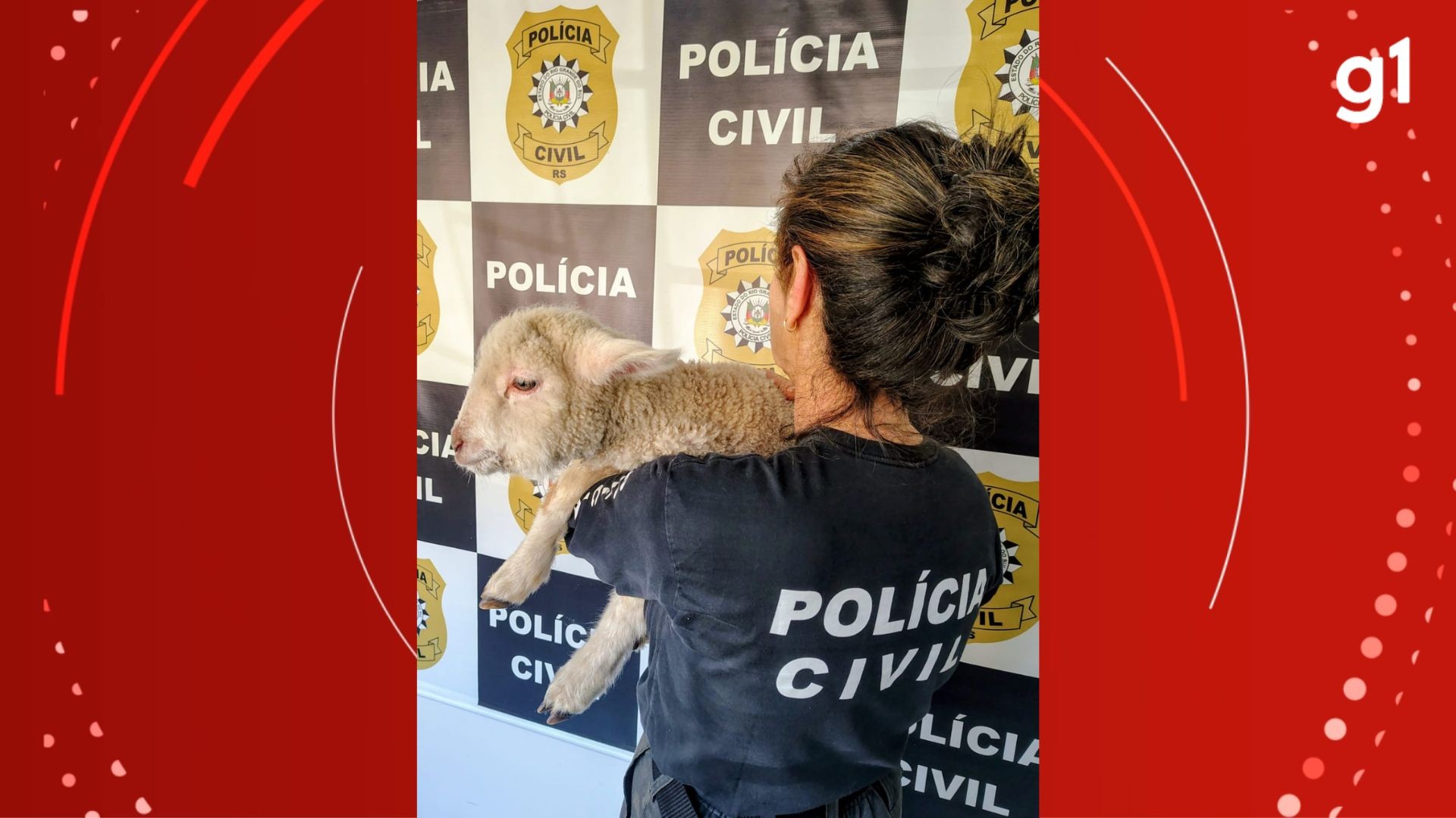 Você Não Tá Convidada pro Meu Bat Mitzvá!