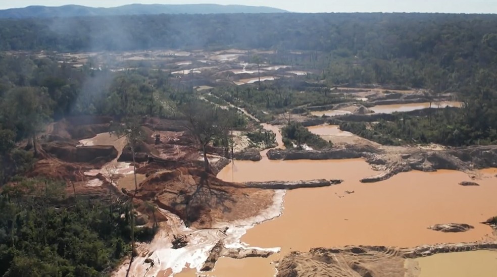 Força-tarefa combate garimpeiros ilegais em Sararé, terra indígena de MT mais devastada do país — Foto: Reprodução JN