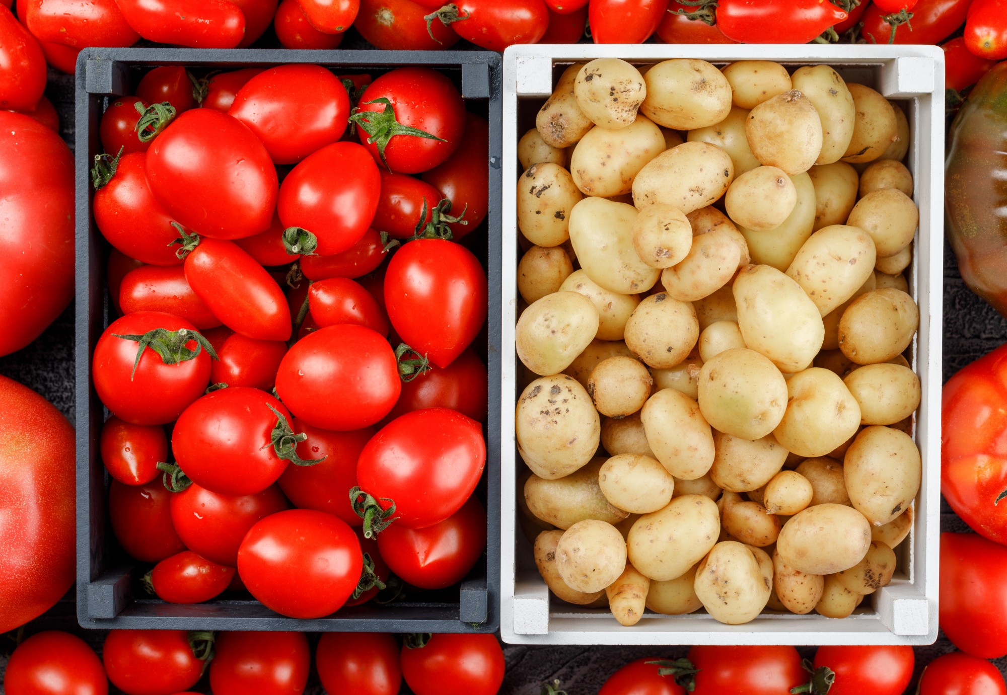 'DNA de tomate' está na origem da batata; entenda revelação de estudo com mais de 500 genomas