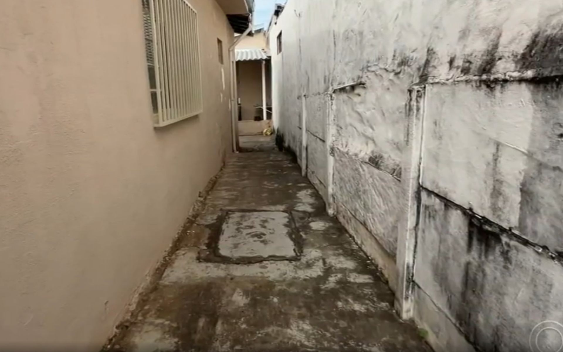 Criança de 2 anos é entubada em hospital após ser picada por escorpião dentro de casa, diz pai