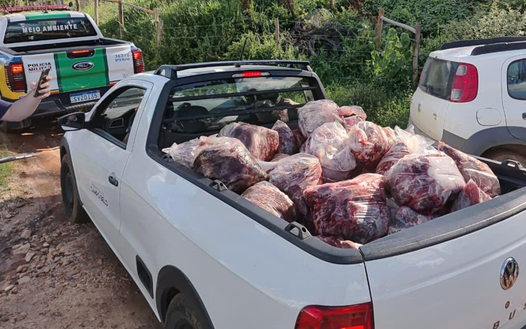 PM de Meio Ambiente apreende 800 kg de carne de abate clandestino em Campo Belo, MG