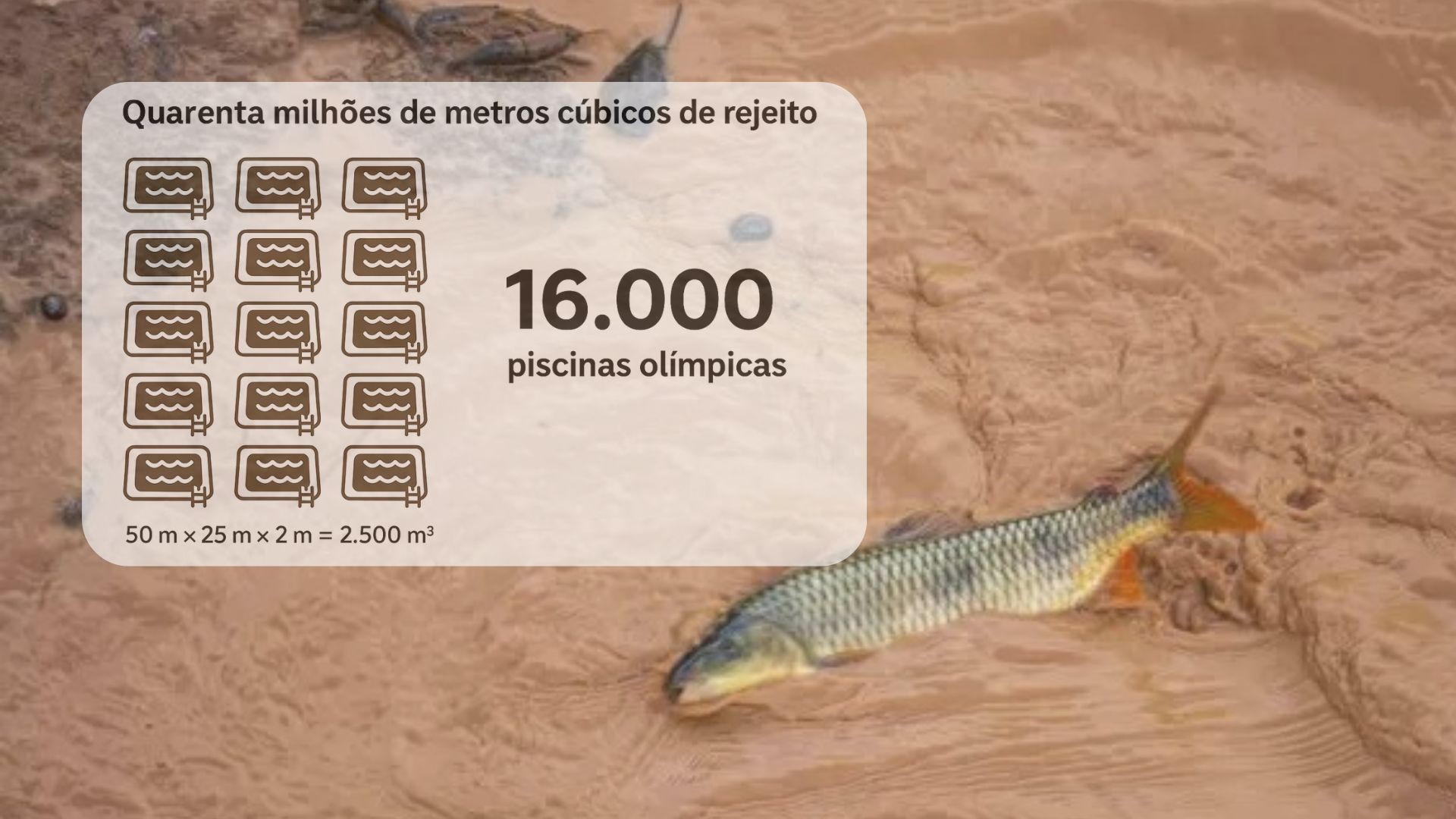 Rio Doce ainda é 'paciente crônico' dez anos depois do desastre de Mariana