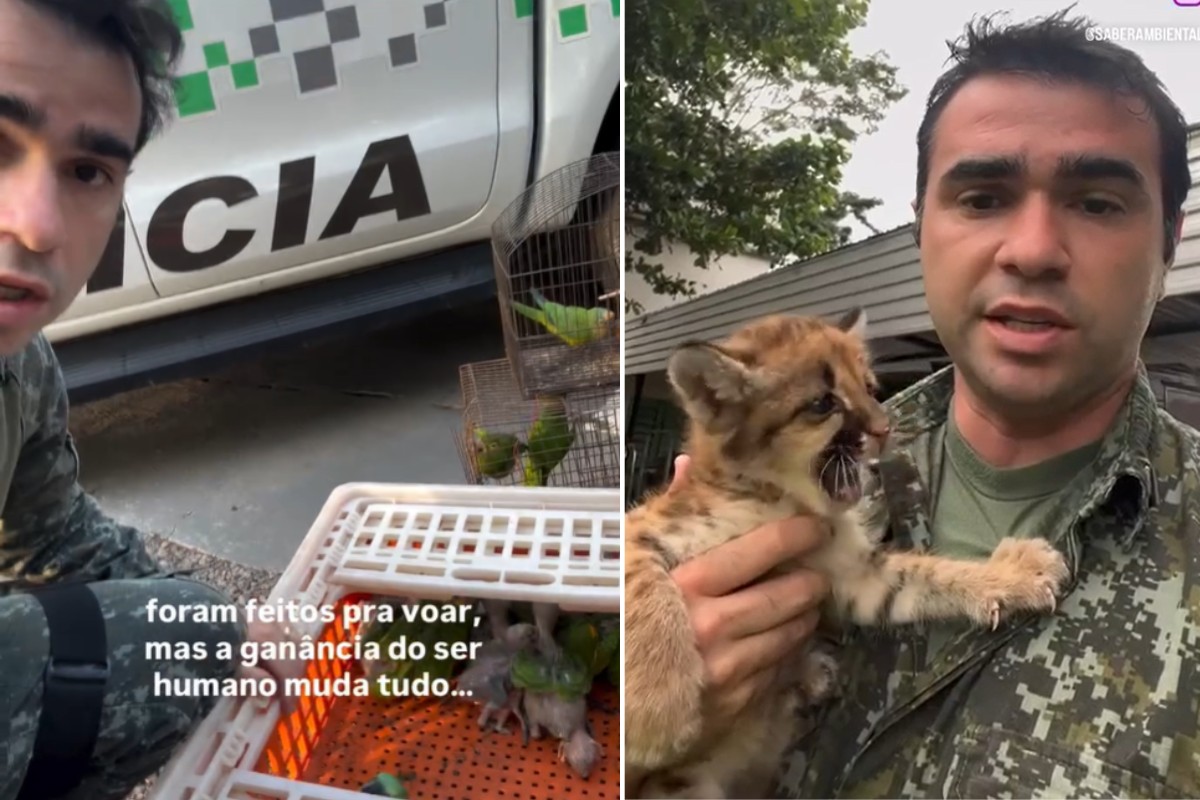 Capitão da PM destaca papel da denúncia no combate a crimes ambientais: 'Choca até quem tem casca grossa'