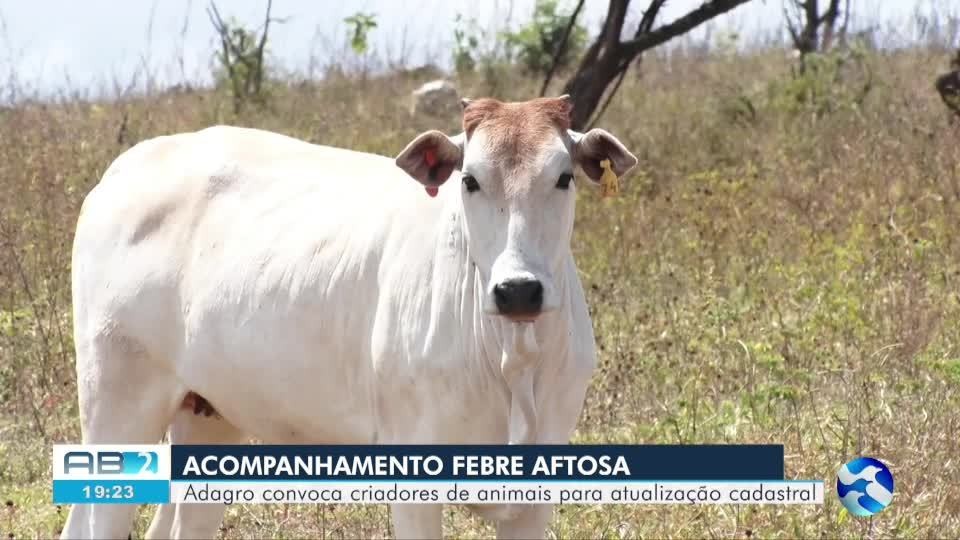 VÍDEOS: AB2 de segunda-feira, 3 de novembro de 2025