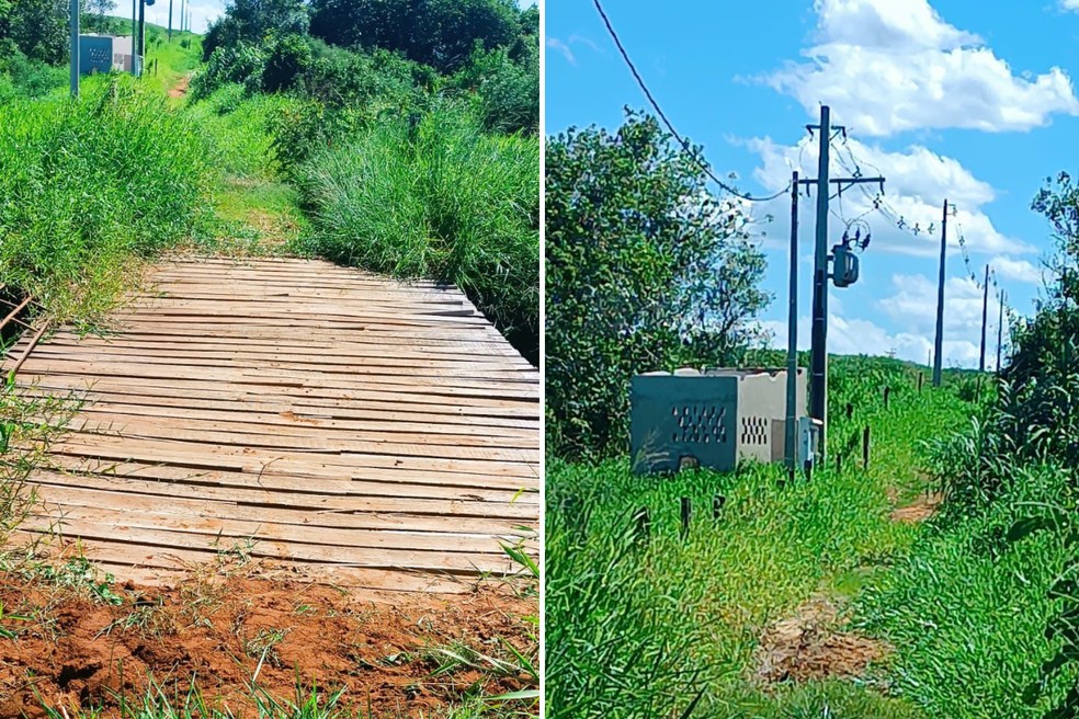 Mulher é multada em quase R$ 4 mil por desmatamento ilegal após monitoramento por imagens de satélite em Tupi Paulista (SP) — Foto: Reprodução/Polícia Ambiental
