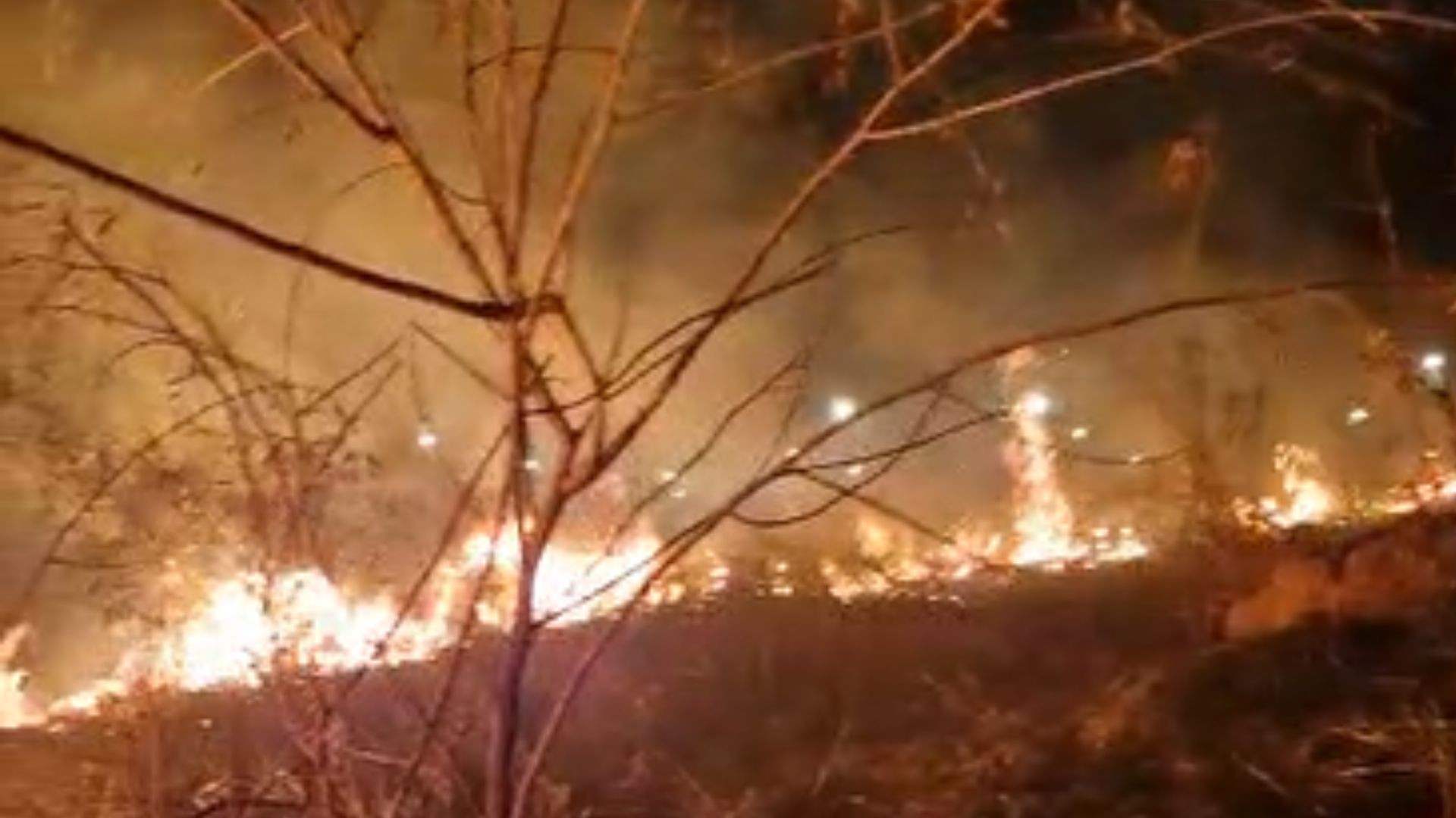 VÍDEO: Incêndio destrói área de vegetação equivalente a 48 campos de futebol em MG