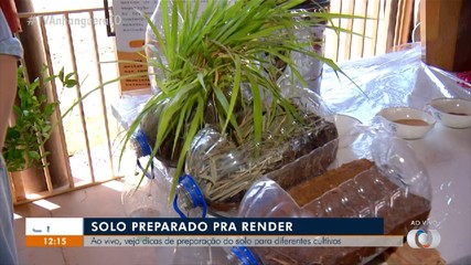 Confira dicas de preparação do solo para diferentes cultivos apresentadas na Agrotins 2024