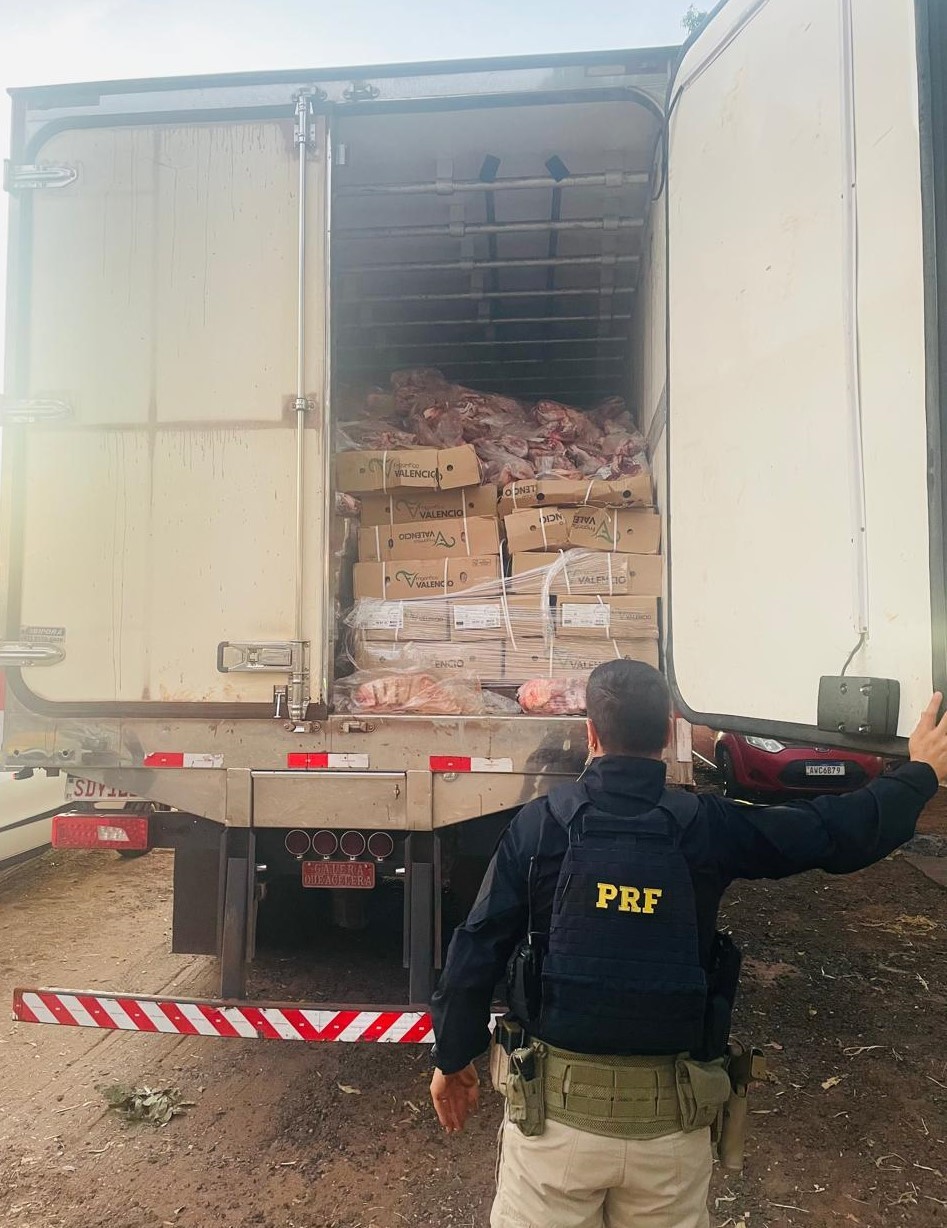 Caminhão roubado com carga de carnes avaliada em R$ 400 mil é recuperado na BR-365