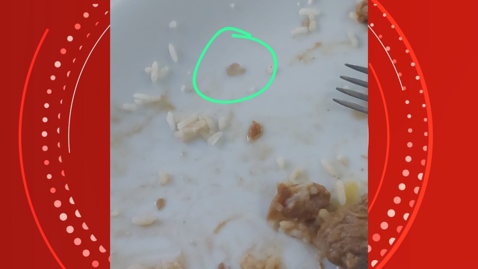Pedra encontrada em refeição servida em restaurante da Ufes — Foto: Reprodução redes sociais