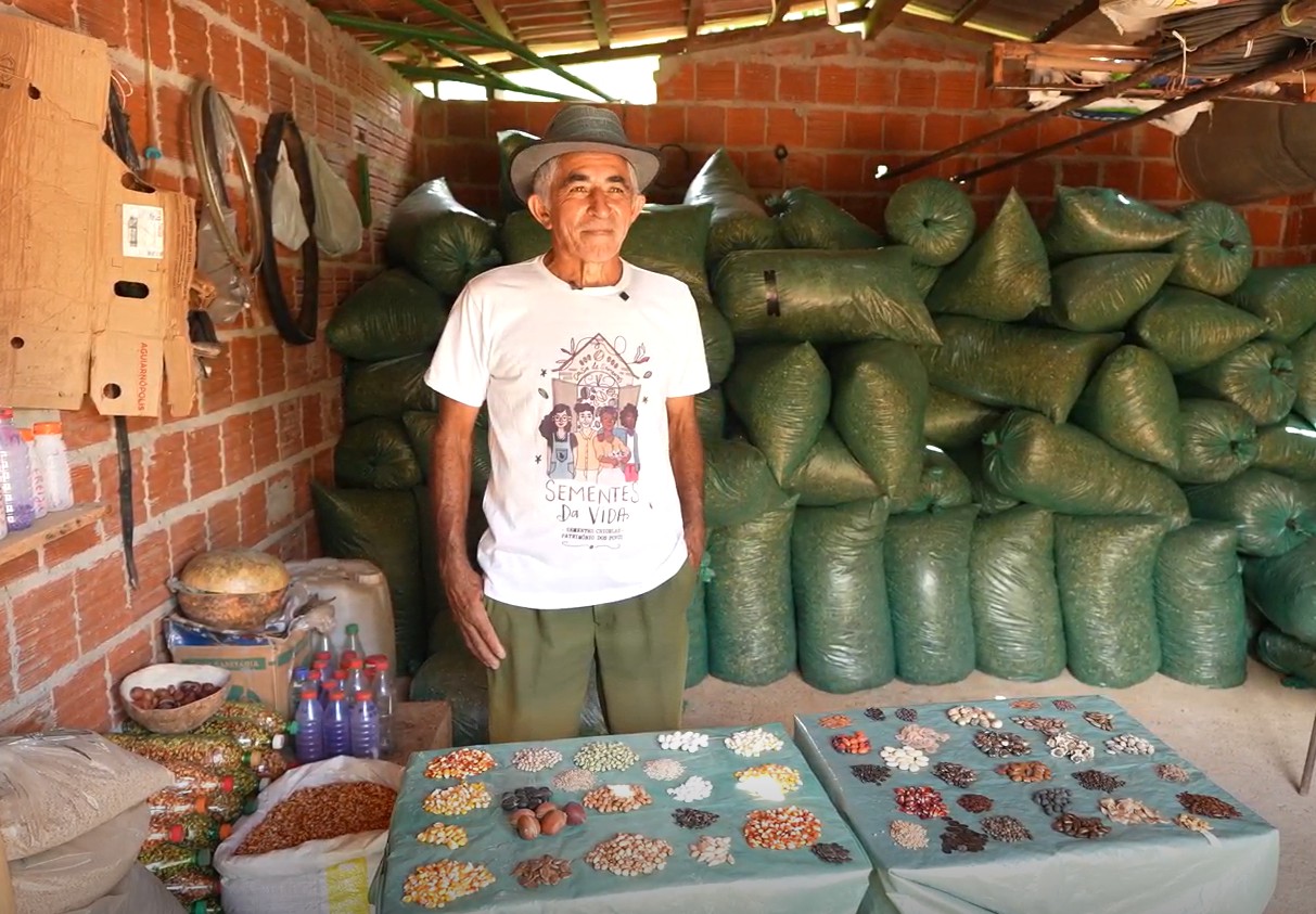 Conhece o feijão barrigudo? E o trivicía? Guardião de sementes do sertão do Araripe preserva grãos que mantêm viva cultura regional