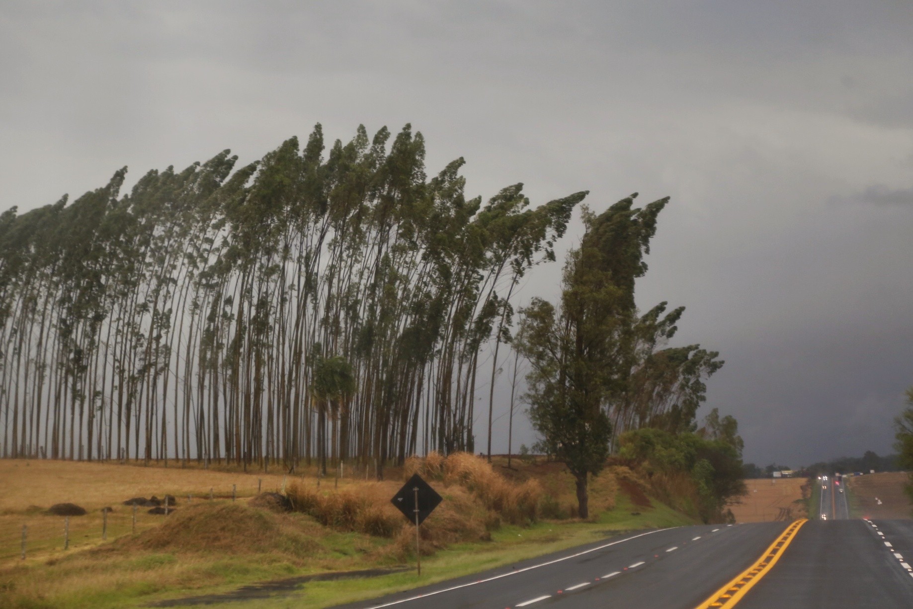 Todas as cidades do Paraná estão em alerta para chuvas intensas, segundo Inmet; veja previsão