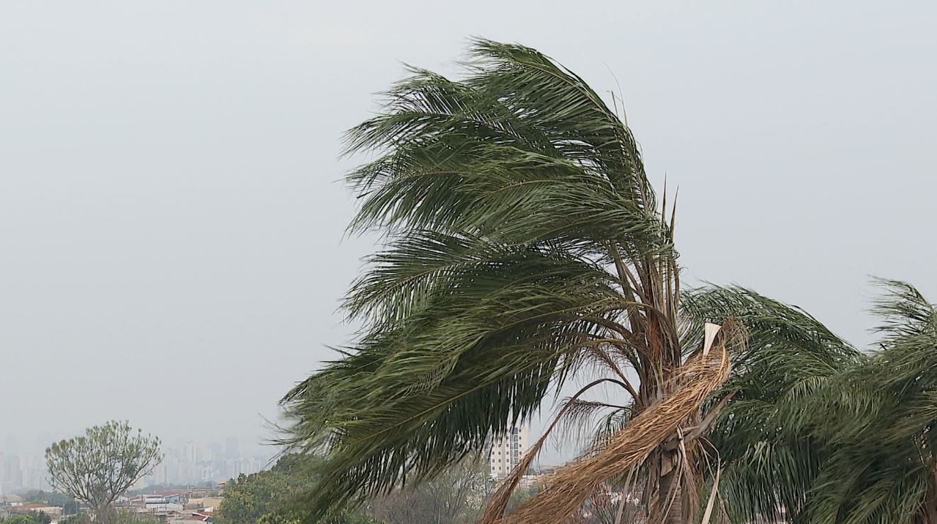 Região tem chuva e rajadas de vento a 60 km/h em Pradópolis, SP