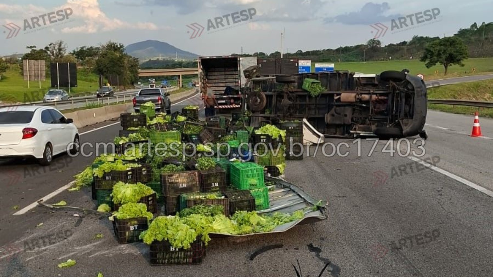 Caminhão carregado de verduras tomba e causa lentidão em rodovia de Araçariguama