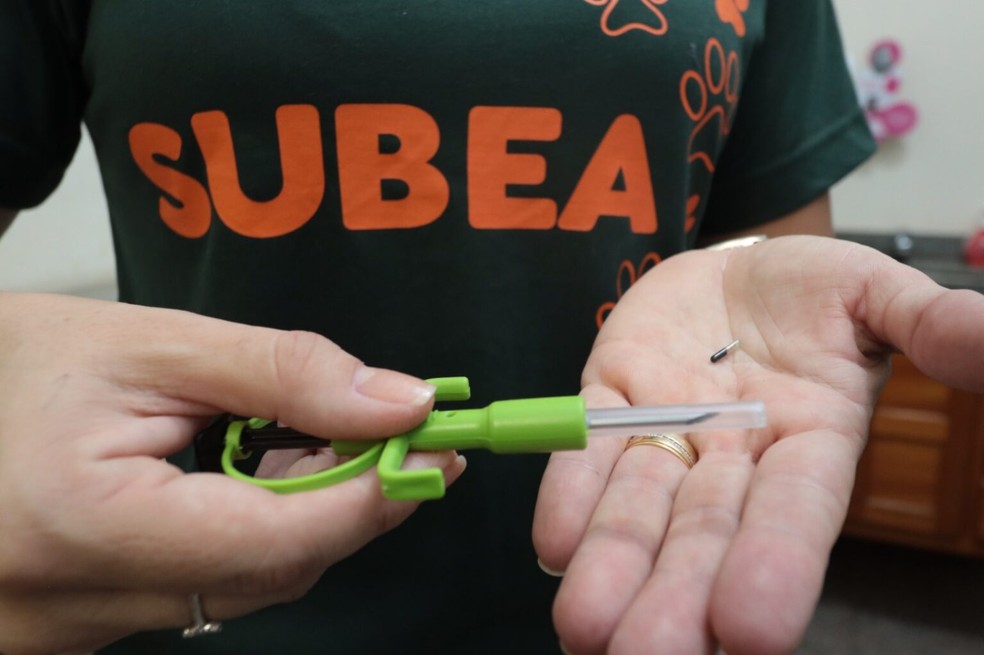 Segundo a Prefeitura, o microchip é uma forma de combater o abandono — Foto: Subea/Divulgalgação