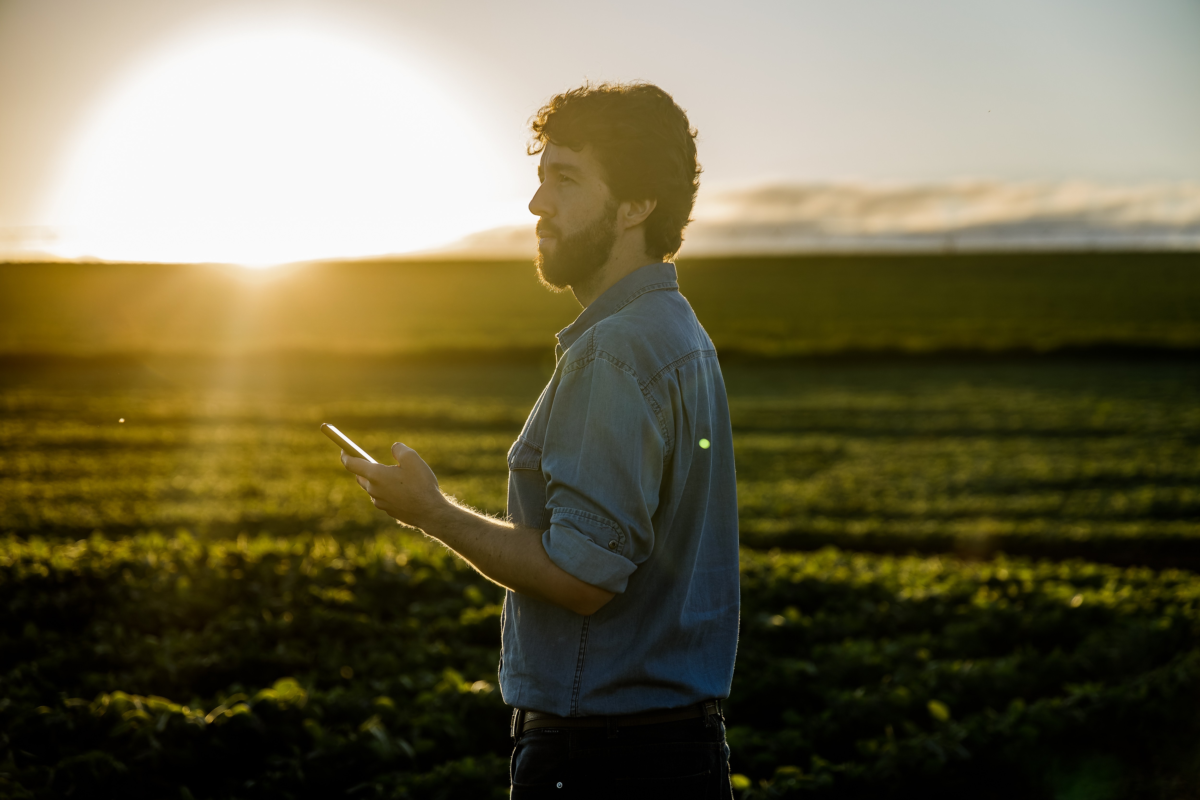 Altas temperaturas e agricultura: confira 4 dicas da Jacto para manter a produtividade no campo