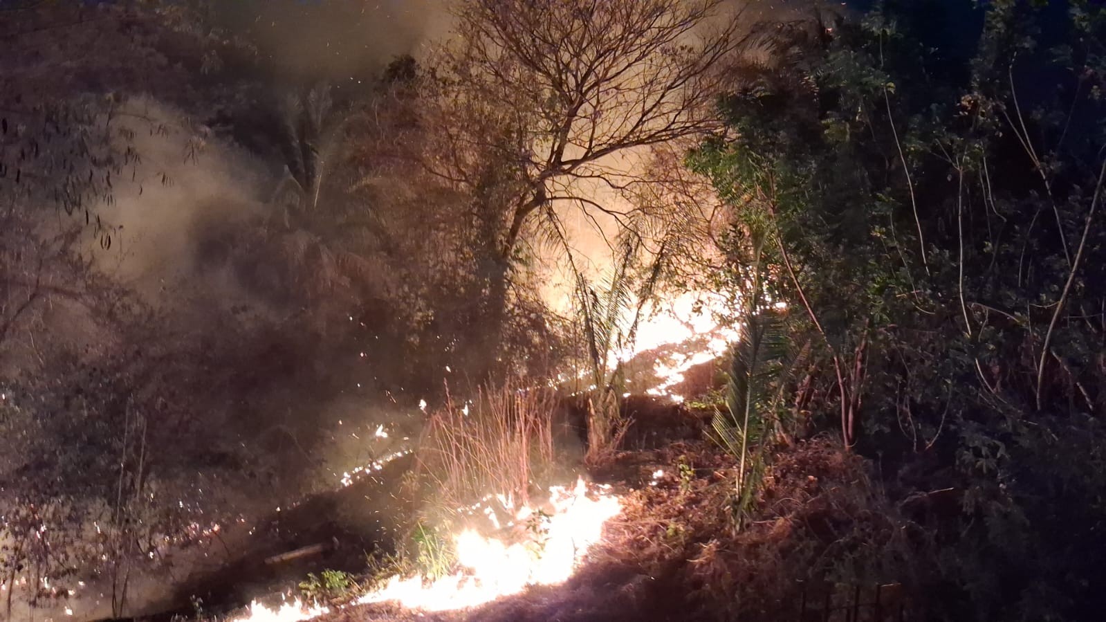 Incêndio assusta moradores de conjunto na Zona Sul de Teresina: 'fogo por trás das casas', diz vizinha
