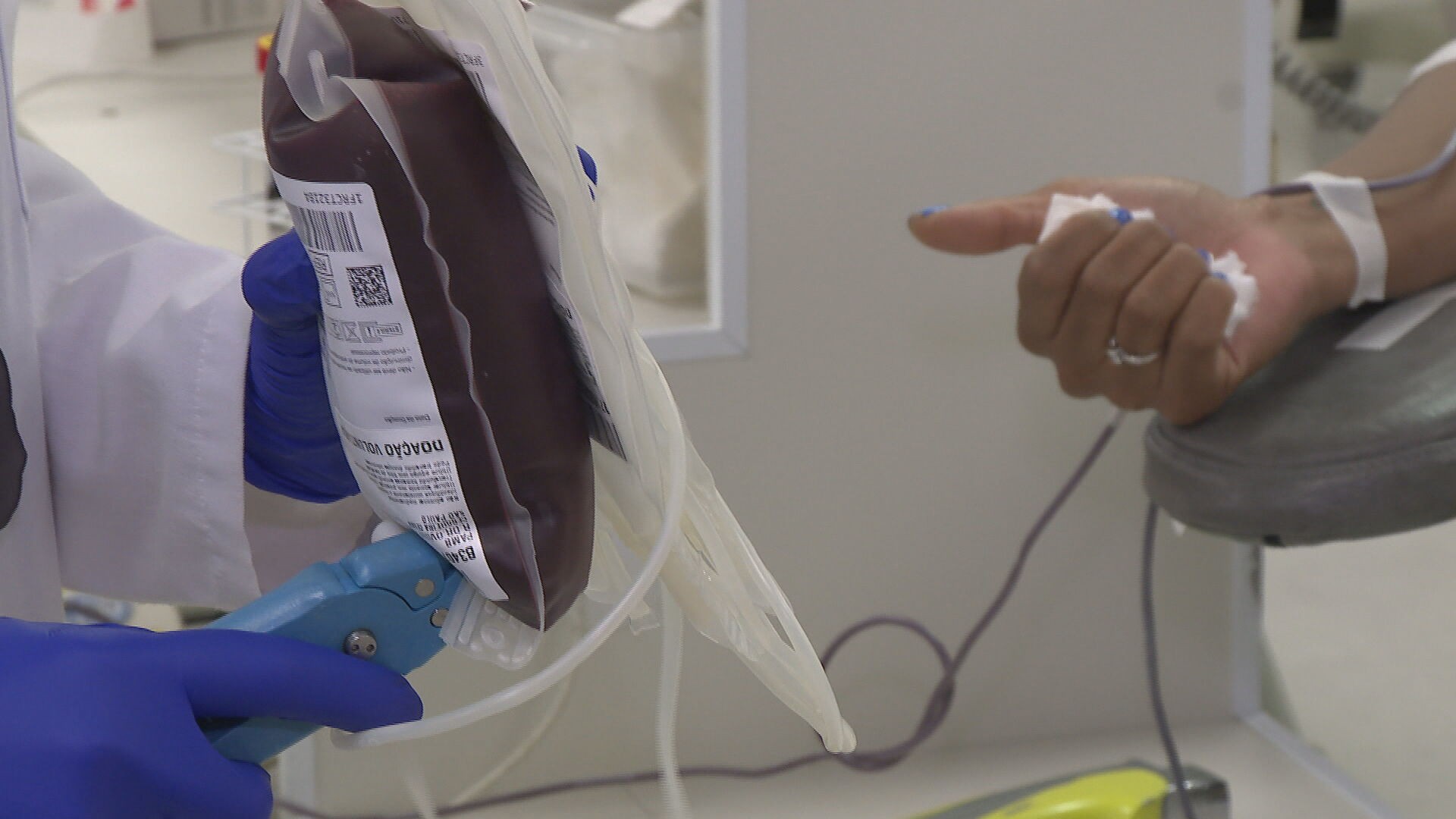 Com baixa no estoque às vésperas do Carnaval, Banco de Sangue de São José faz campanha para estimular doações