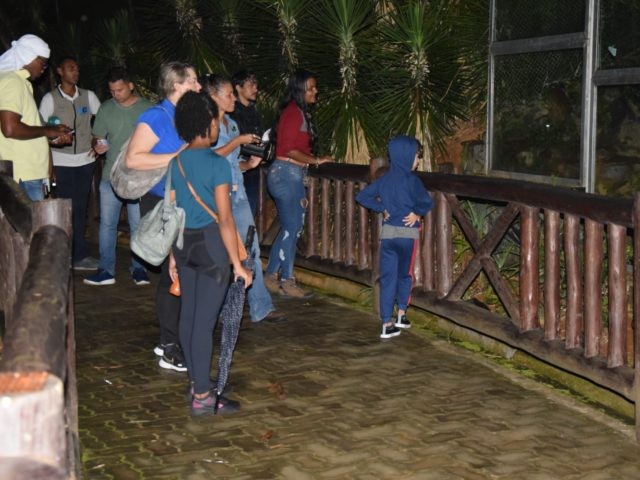 'Zoo Noturno': Zoológico de Salvador abre nova temporada de visitação à noite; veja como participar dos passeios