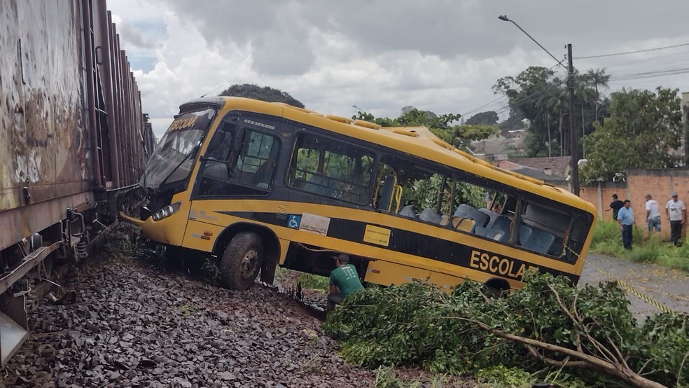 Ônibus escolar que transportava alunos da Apae em Jandaia do Sul (PR) — Foto: Reprodução/Blog do Berimbau