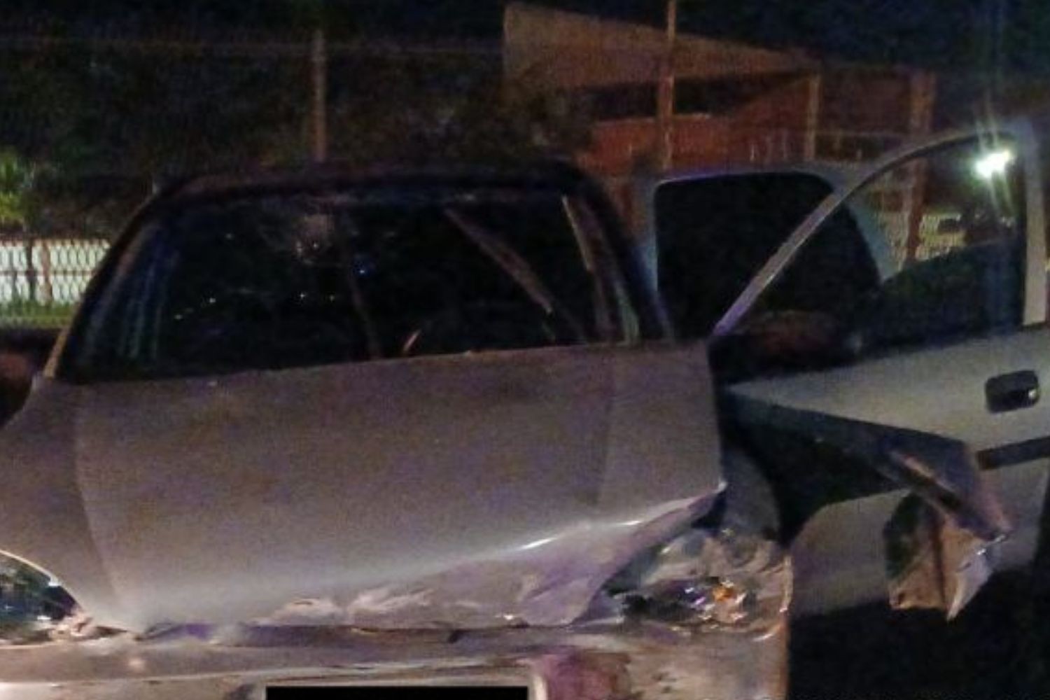 Motorista capota carro ao tentar desviar de cachorro em rodovia de SP e fica gravemente ferido
