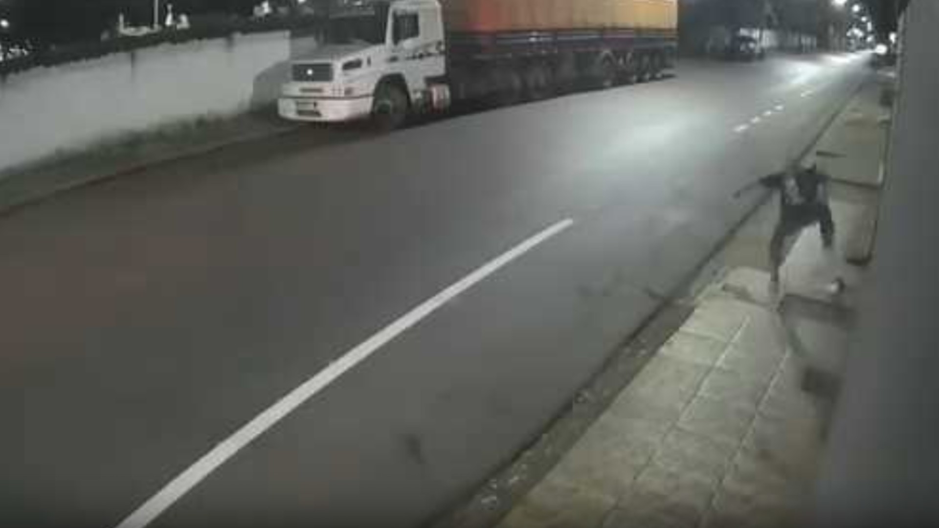 Homem mata filhote de cachorro com chutes e pisões no interior de MG; vídeo