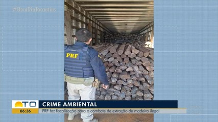 PRF intensifica ações de combate a extração de madeira ilegal