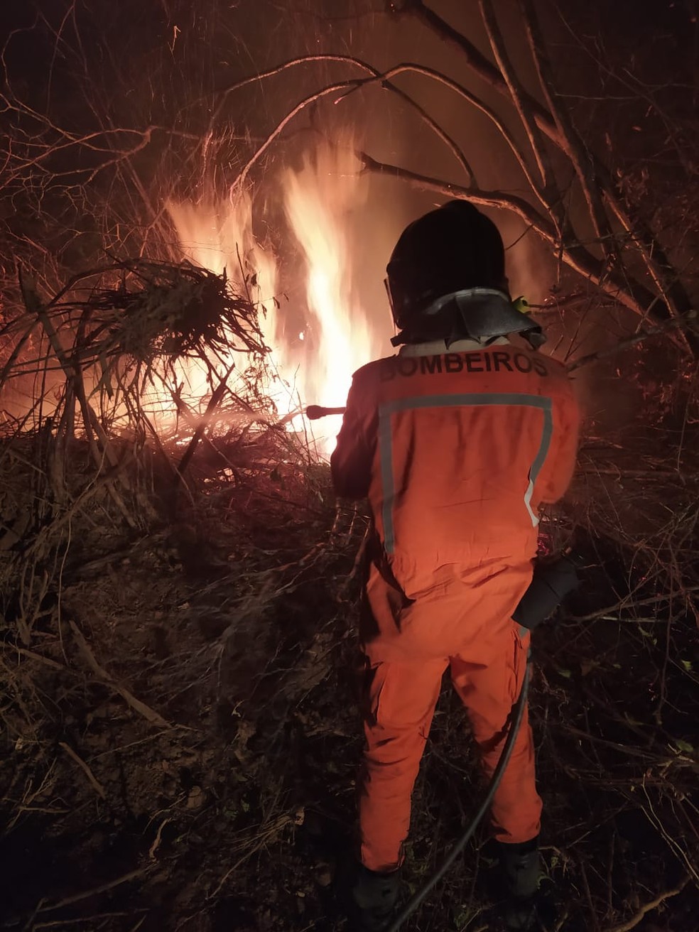 Bombeiro combate incêndio próximo ao Parque Serra da Capivara, no Piauí — Foto: Divulgação/Corpo de Bombeiros