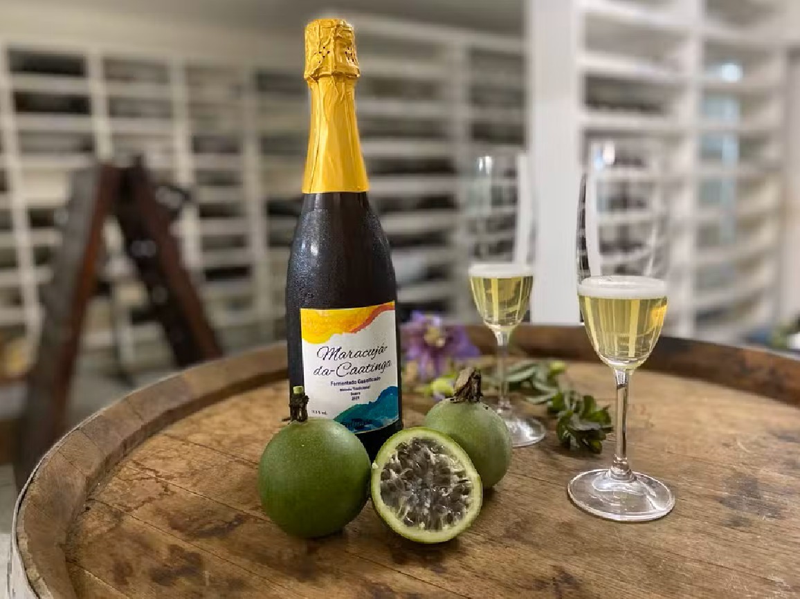 Produções com frutas da Caatinga em licores são destaque em Juazeiro