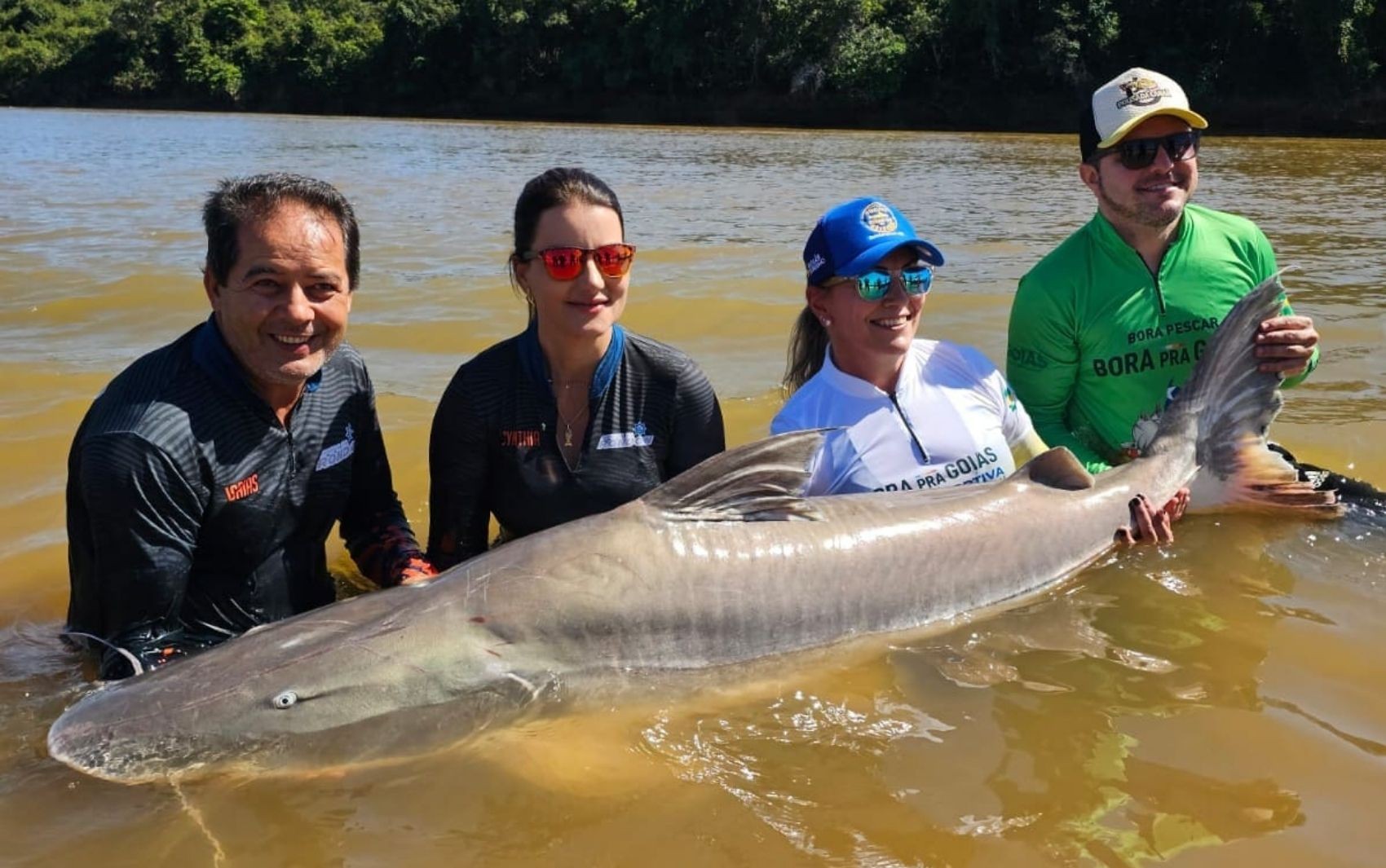 Veja quais peixes exóticos foram liberados para serem levados para casa após mudança de regra de pesca em Goiás  