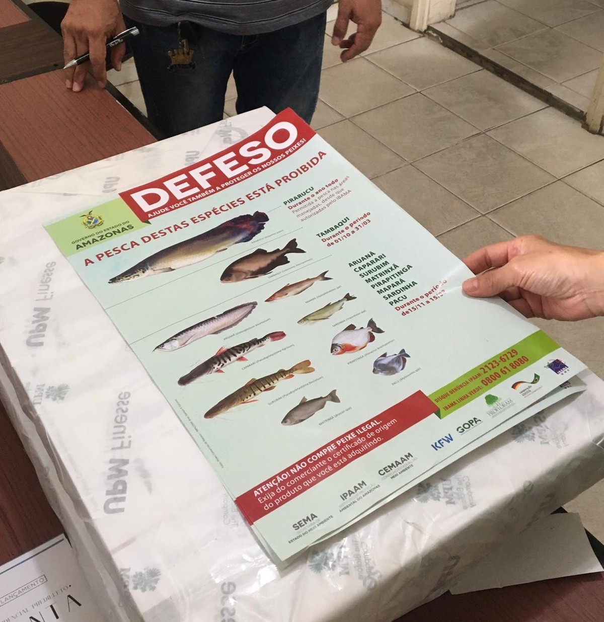 Período de defeso termina nesta segunda-feira (15) e oito espécies saem ...