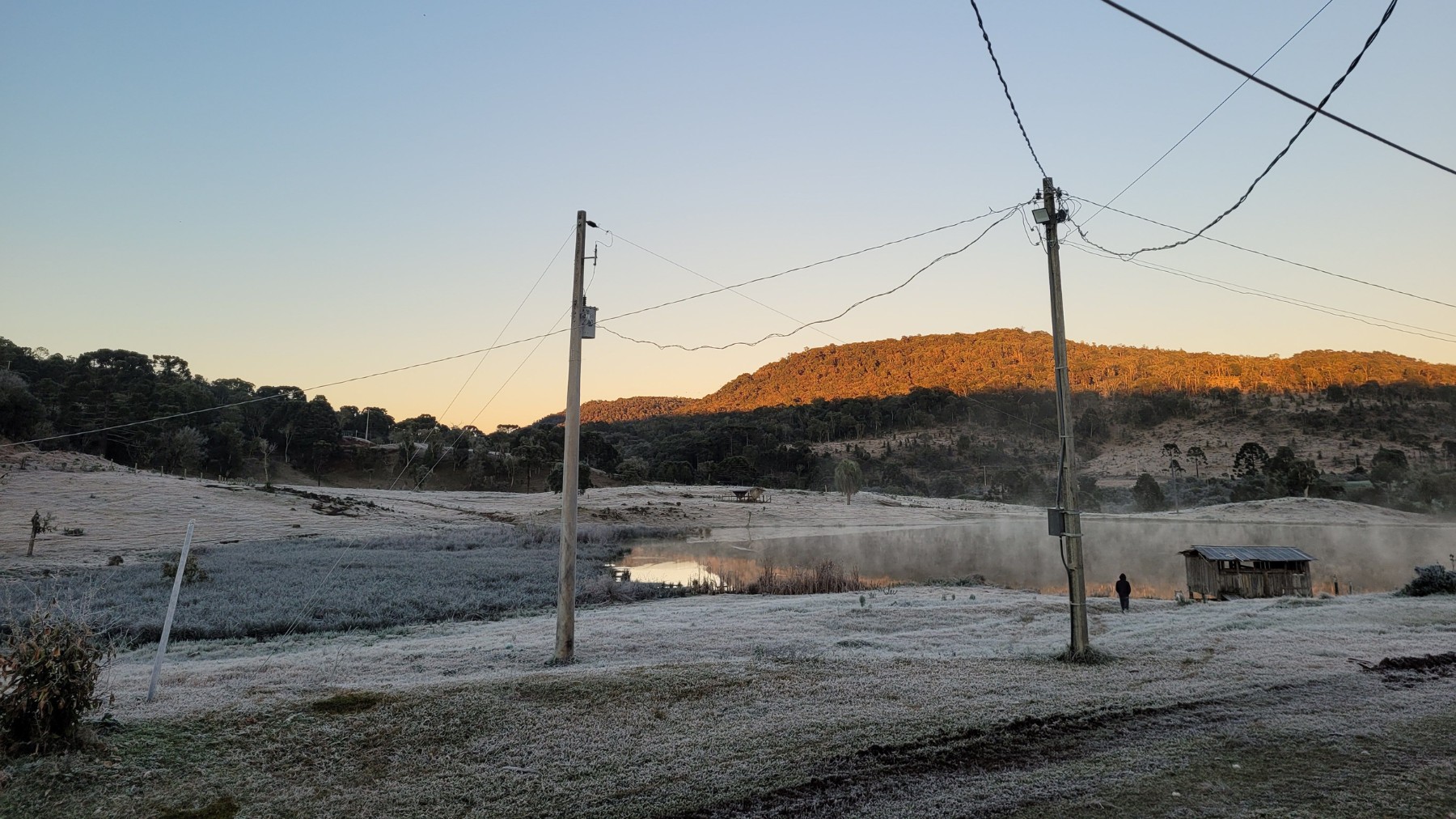 Paraná amanhece com geadas e temperaturas negativas; veja imagens e a previsão do tempo