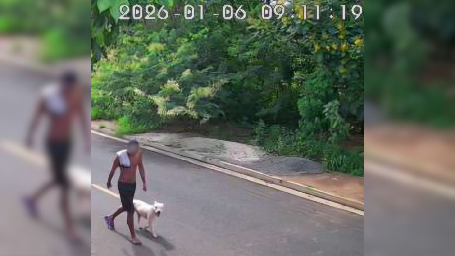 Suspeito de abandonar pit bull que morreu após ser encontrado sob sol e preso pelo pescoço com cabo de carregador de celular é identificado