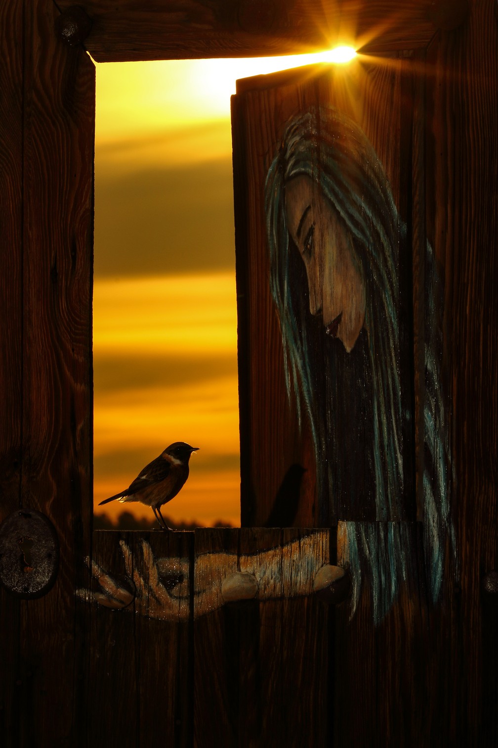 'Amanhecer na porta da casa da fazenda' - Bronze na categoria Aves Urbanas — Foto: Julian Fernandez Quilez/Bird Photographer of the Year