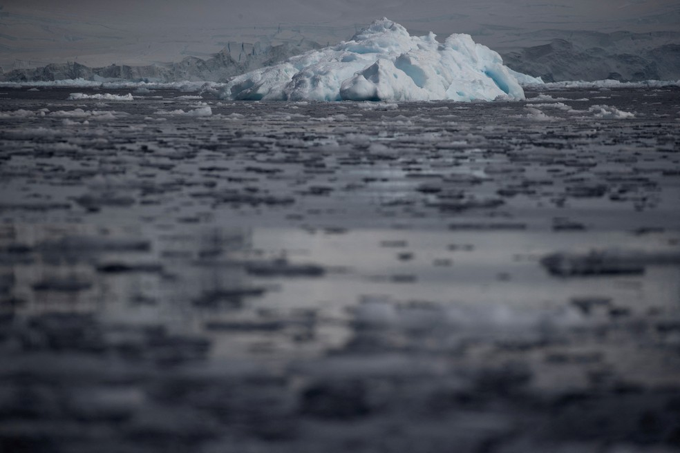 Pequenos pedaços de gelo flutuam na água perto da Baía de Fournier, na Antártica, em 2020. — Foto: Reprodução/Reuters