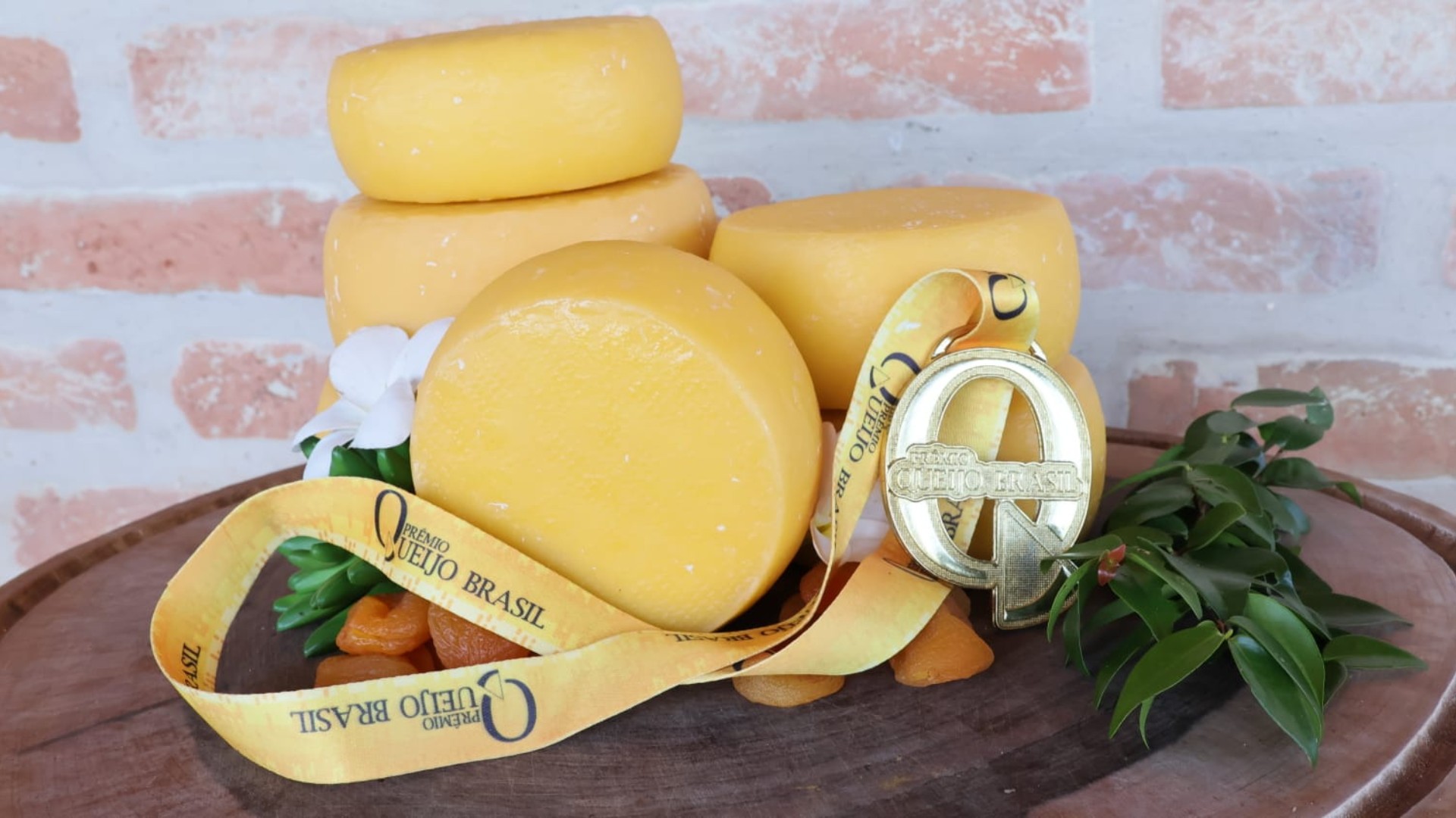 Queijo que ainda nem chegou ao mercado leva medalha de ouro em concurso nacional feito às cegas: 'Não esperávamos’, diz produtor