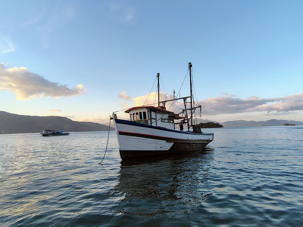 PF faz operação para combater pesca e comercialização de camarão no período de defeso em Angra dos Reis