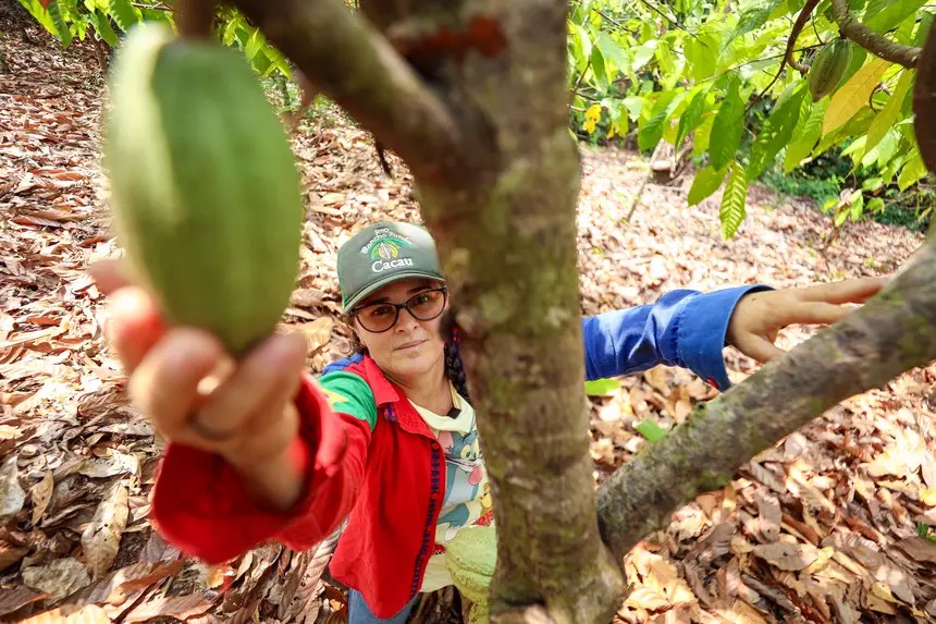 SICAR+: plataforma agiliza Cadastro Ambiental Rural e libera Pagamento por Serviços Ambientais no PA