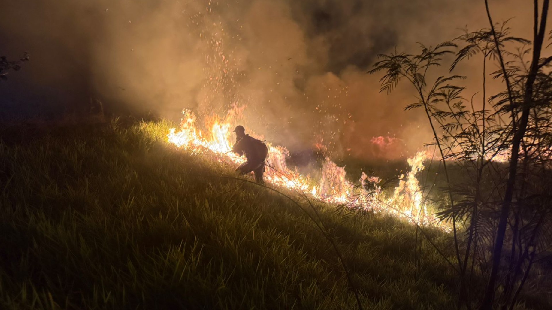 Incêndio destrói 70 mil metros quadrados de pastagem em Marília